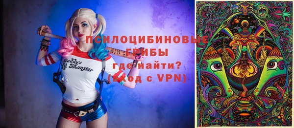 PSILOCYBIN Надым