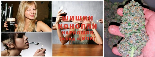 PSILOCYBIN Надым
