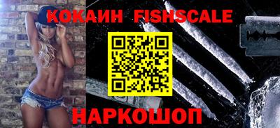 шишки Кингисепп