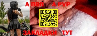 шишки Кингисепп
