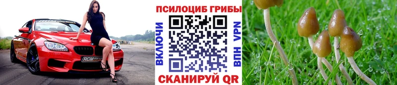 купить  сайты  Комсомольск-на-Амуре  блэк спрут рабочий сайт  Псилоцибиновые грибы Cubensis 